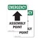 Signmission Assembly Point (Up Arrow) With Symbol, 7 in W x Rectangle, Plastic OS-2PACK-EM-P-710-V-10432 - alternate 1